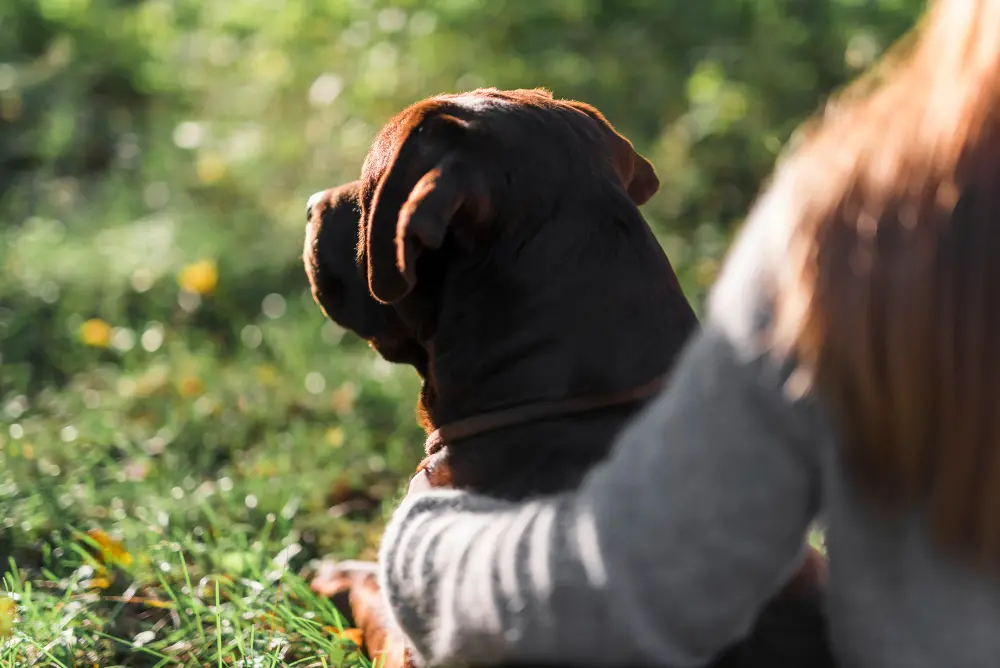 mujer abraza su perro de espaldas