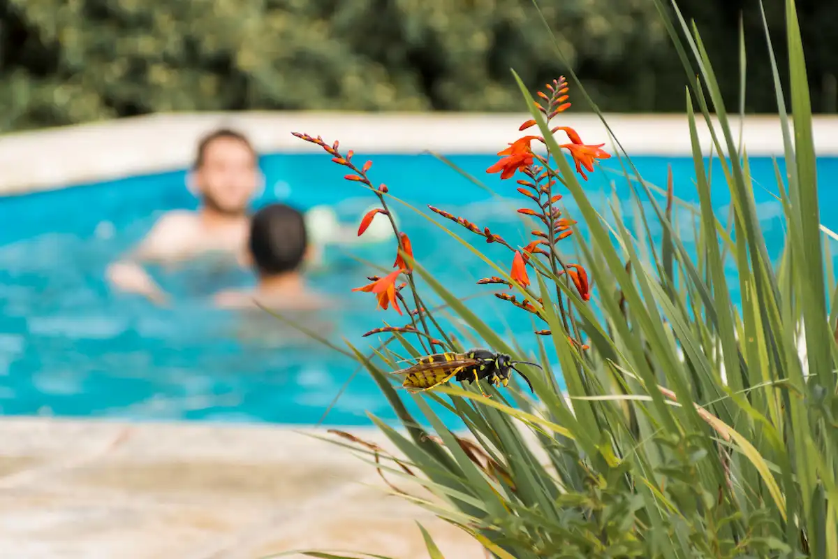 una avispa apoyada en flores a lado de una piscina
