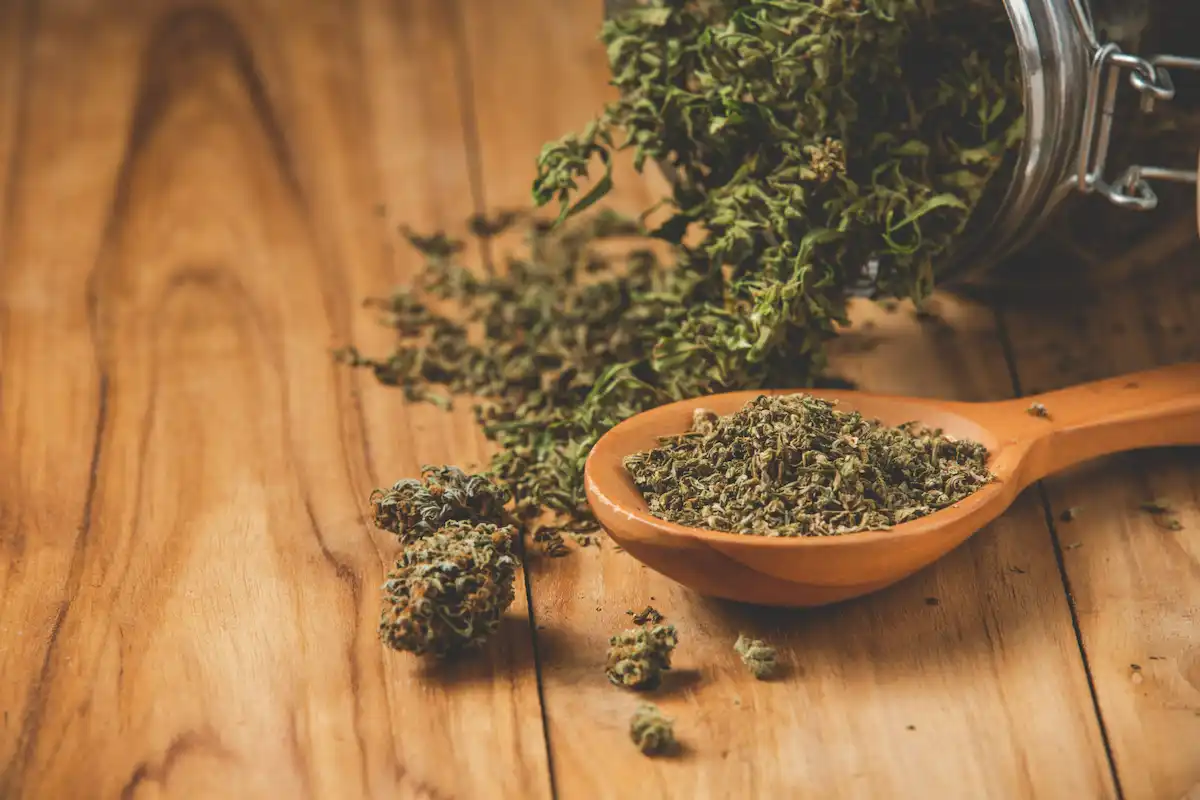 hierba de cannabis en una cuchara de madera