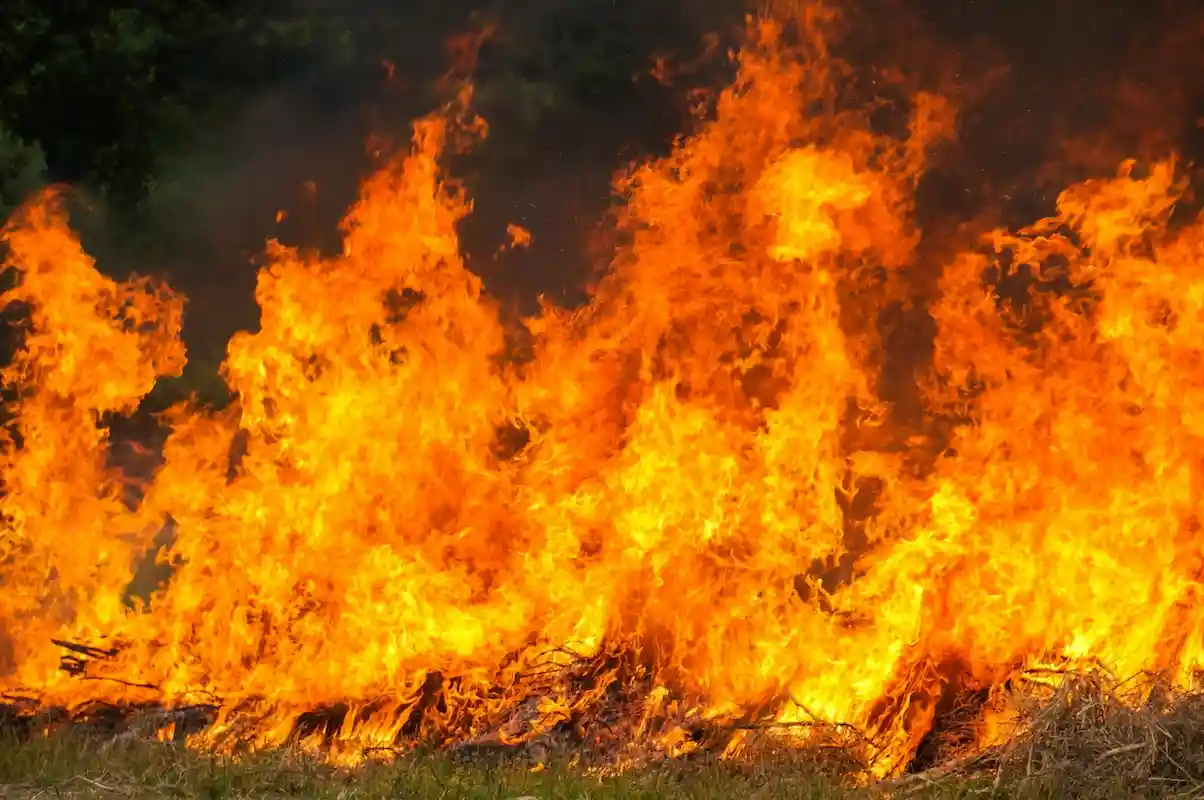 llamas de un fuego en una zona ajardinada