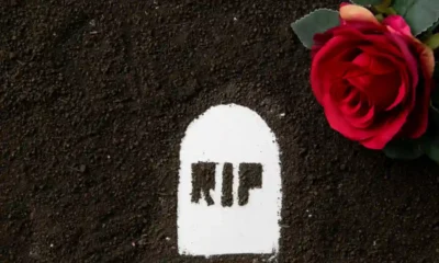 rosa sobre arena negra y escrita rip