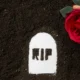 rosa sobre arena negra y escrita rip