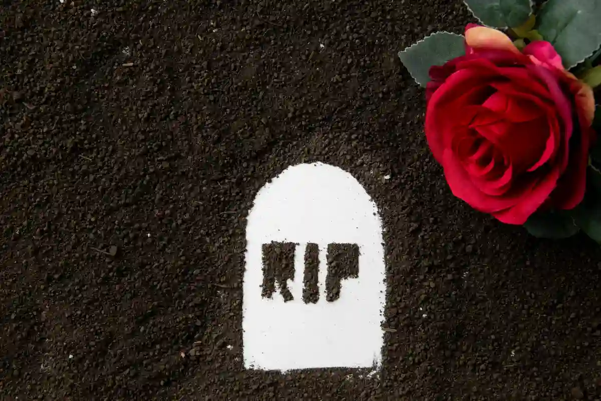 rosa sobre arena negra y escrita rip