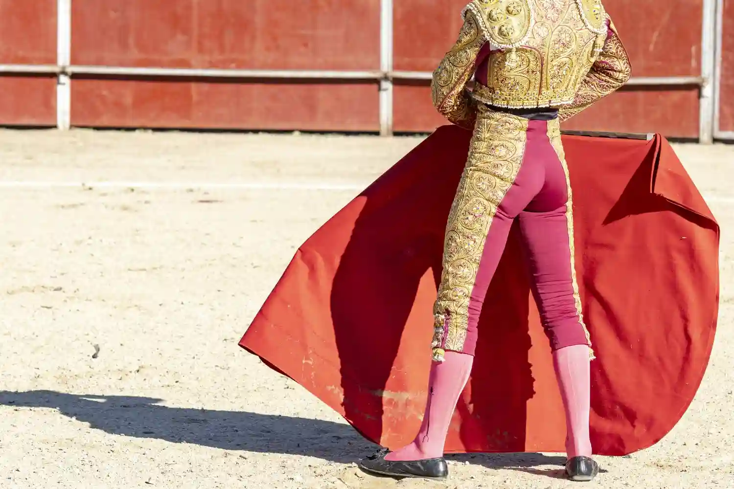 un torero espera al toro en la arena