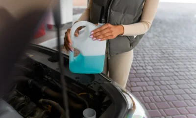 En cuanto tiempo mata el anticongelante