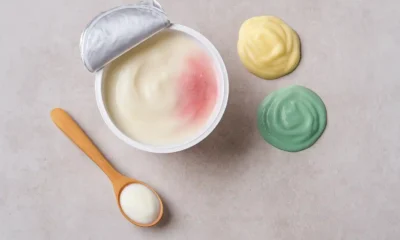 Para qué se pigmentan las bacterias de yogurt