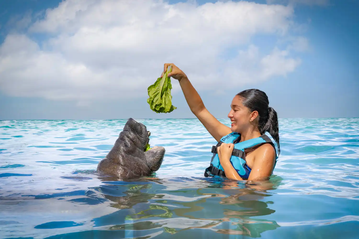 chica jugando con leon marino en agua