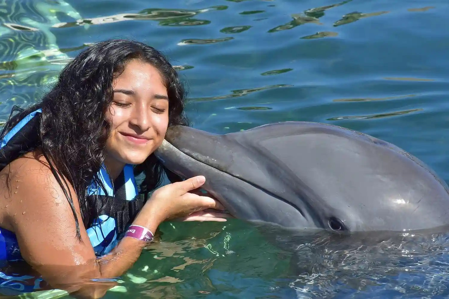 delfin da besito a chica