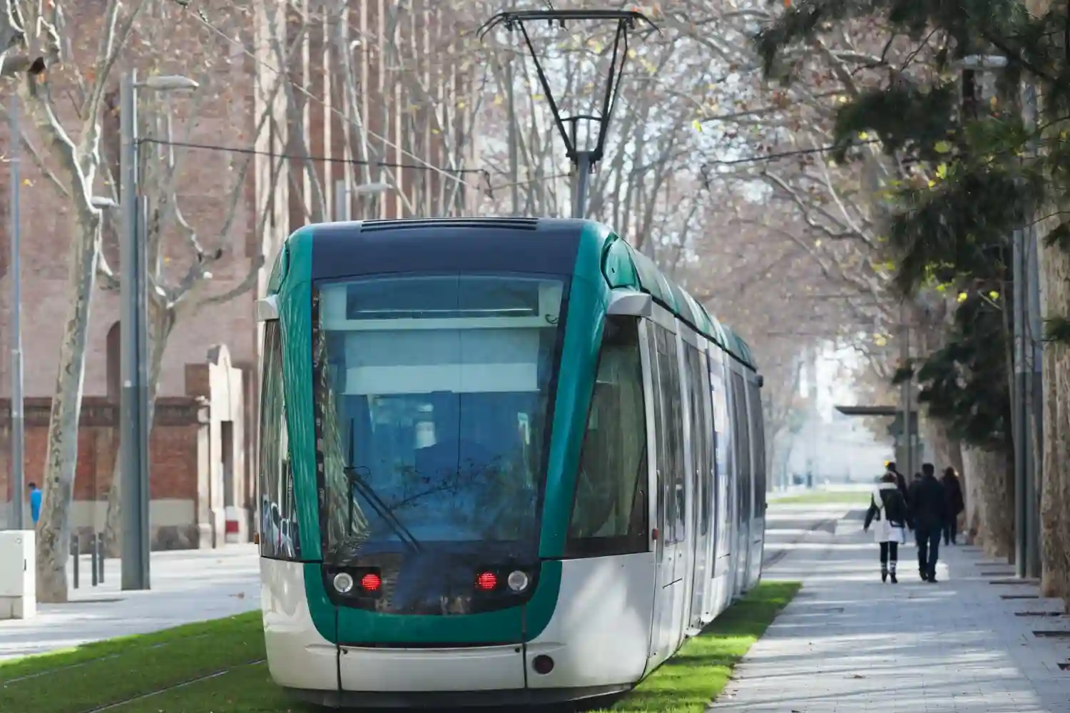 muere atropellada tranvia tenerife