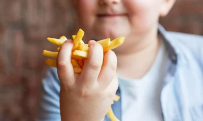 niño obeso con patatas fritas en la mano