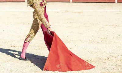 torero en el centro de una corrida