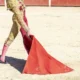 torero en el centro de una corrida