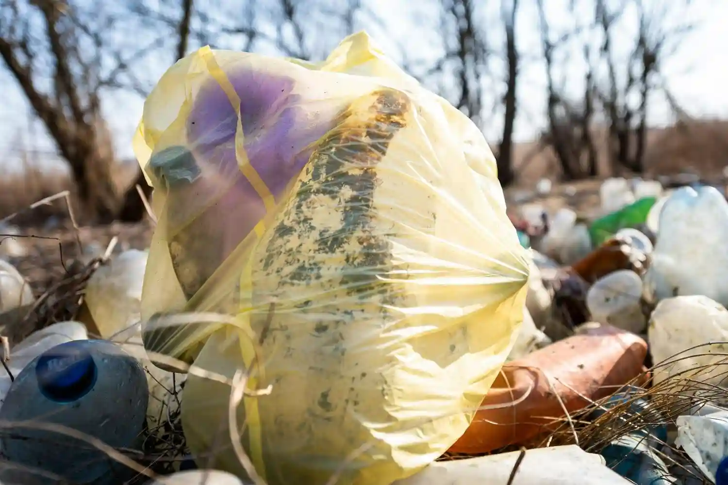 100 toneladas de basura