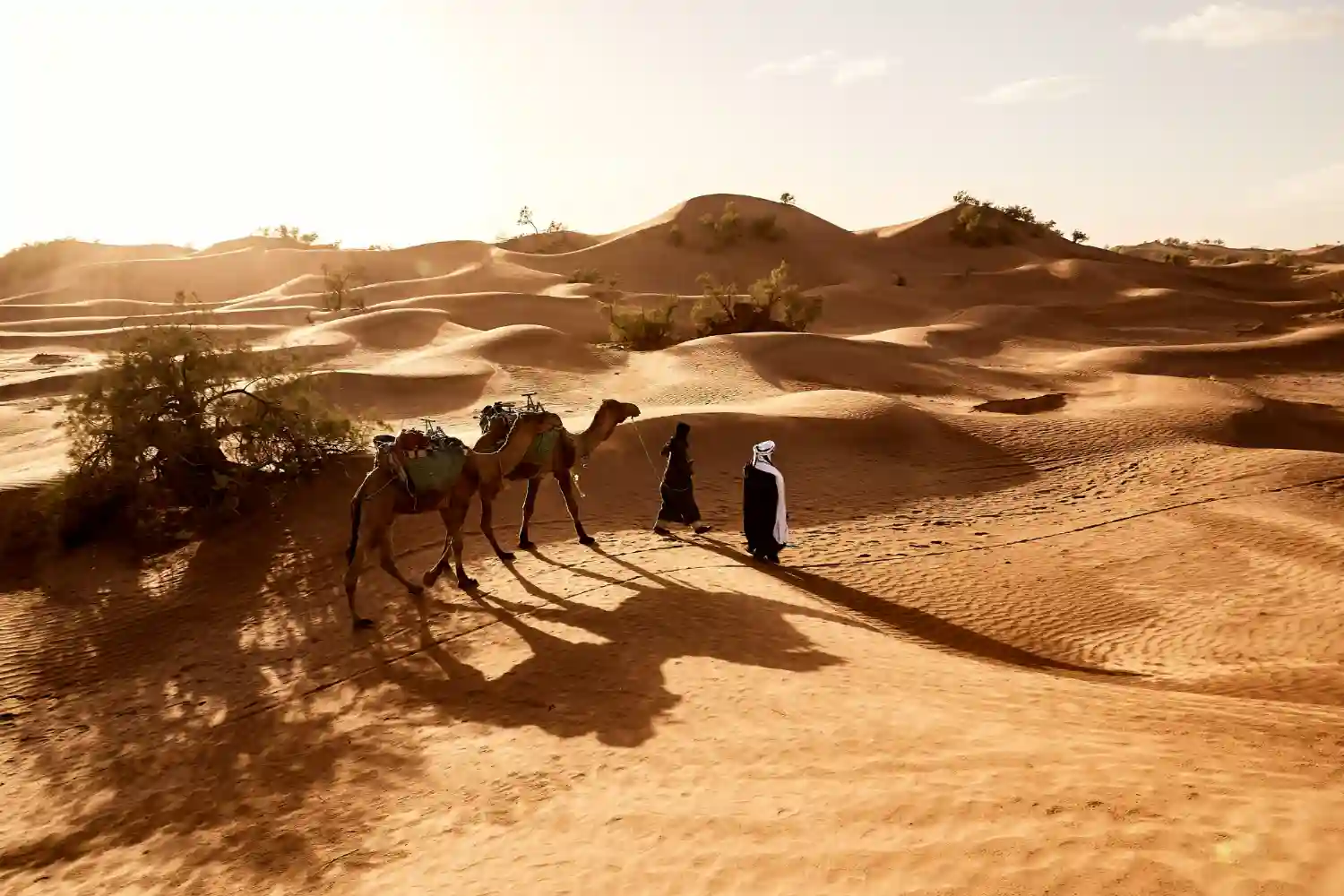 Polisario negocia ya con Marruecos