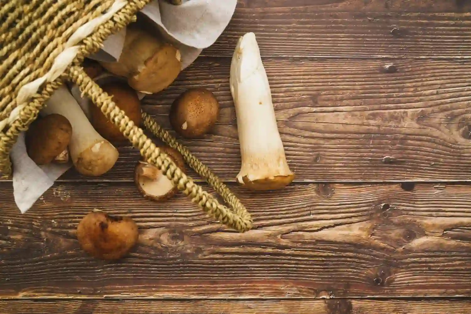Qué es el hongo matsutake