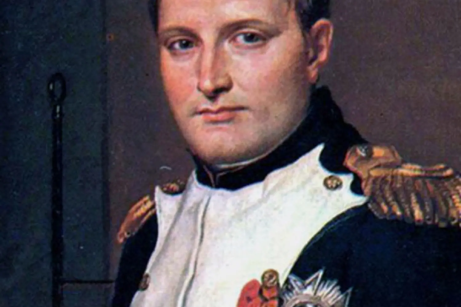 Qué mató a los soldados de Napoleón en Waterloo