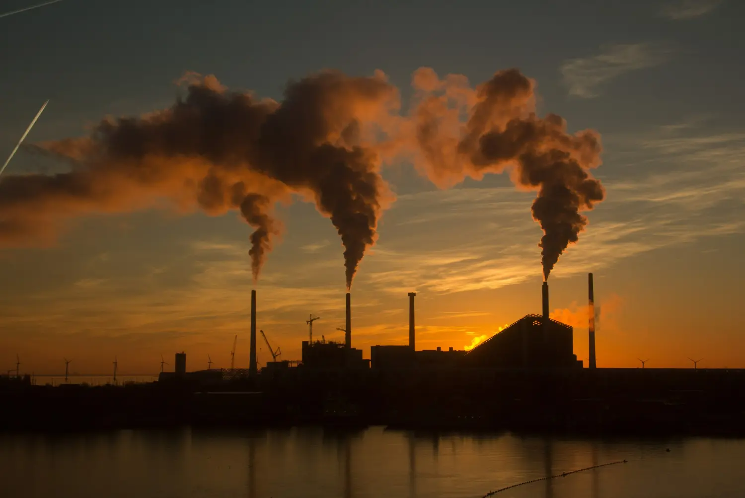Quién emite 53 veces más CO2