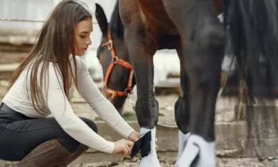 cuanto pesa el caballo