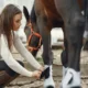 cuanto pesa el caballo
