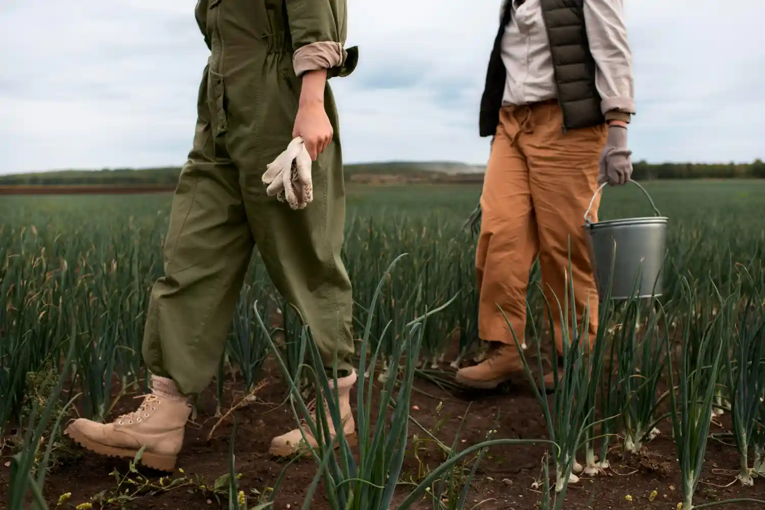 fraude agrícola que sacude a Grecia