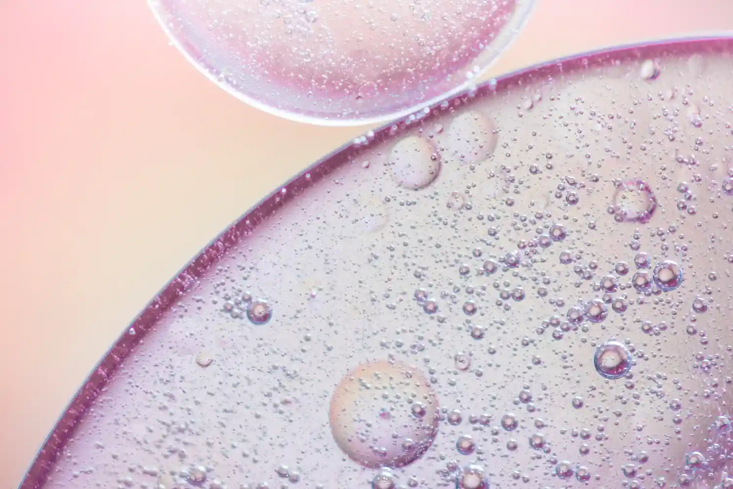 hidrogel con células madre regenera las rodillas