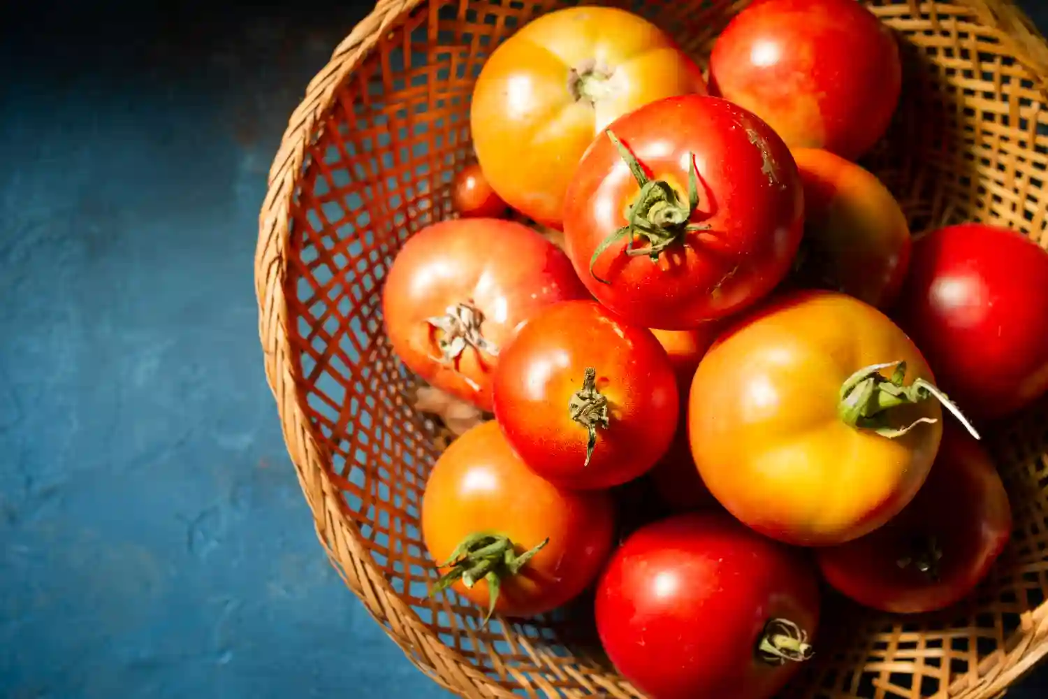 tomates saharauis