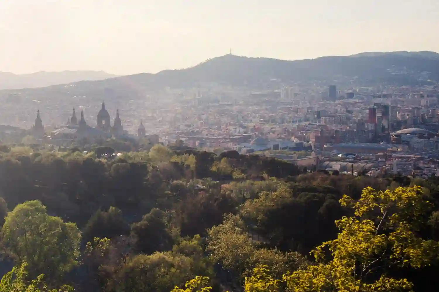 una foto del interland de Barcelona