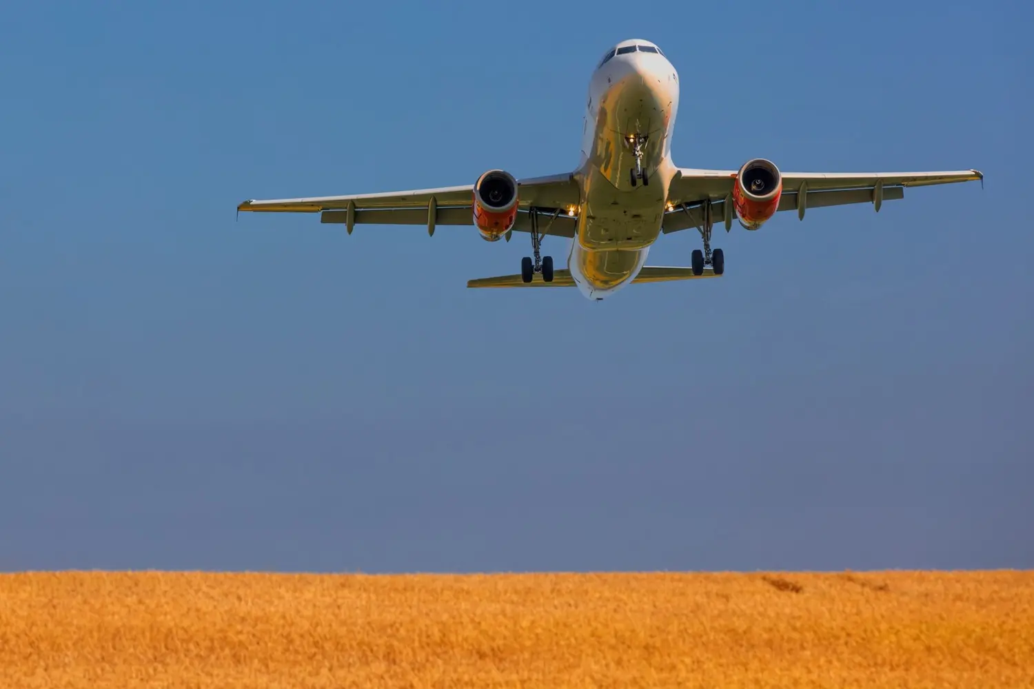 Qué pasó con el avión de UPS