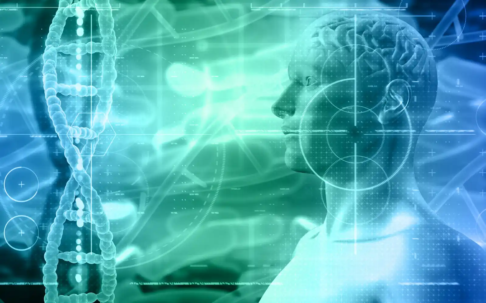 atlas del cerebro frena autismo y esquizofrenia