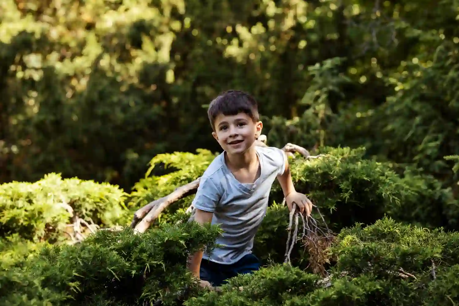 de que murió el hijo de frank de la jungla
