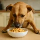 los perros pueden comer garbanzos​