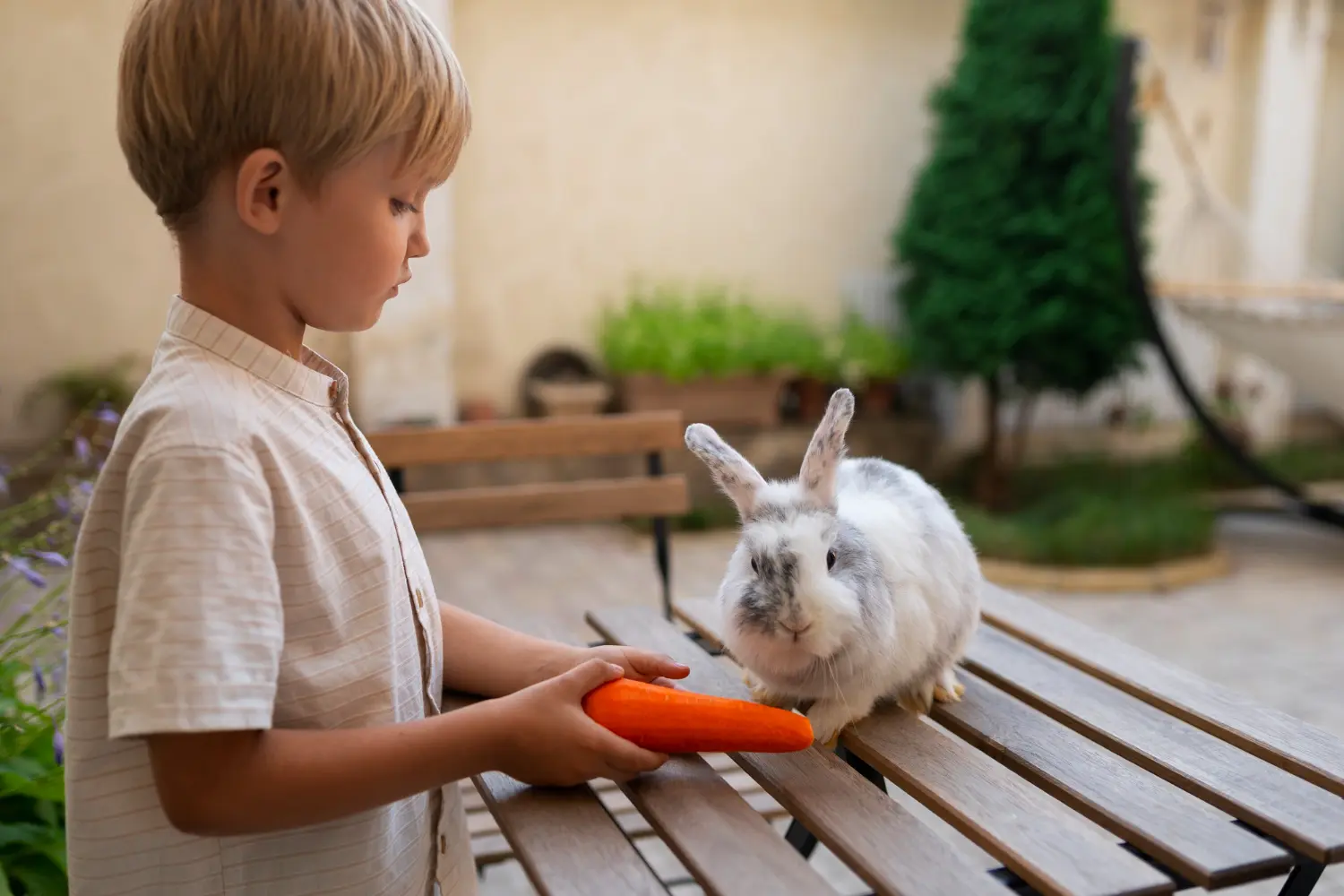 niño da zanahoria a su mascota conejo
