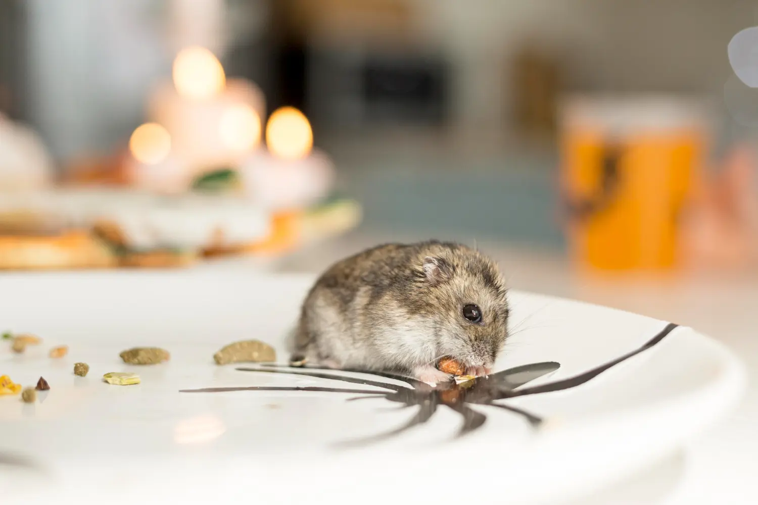 ratones existe vida tras la muerte
