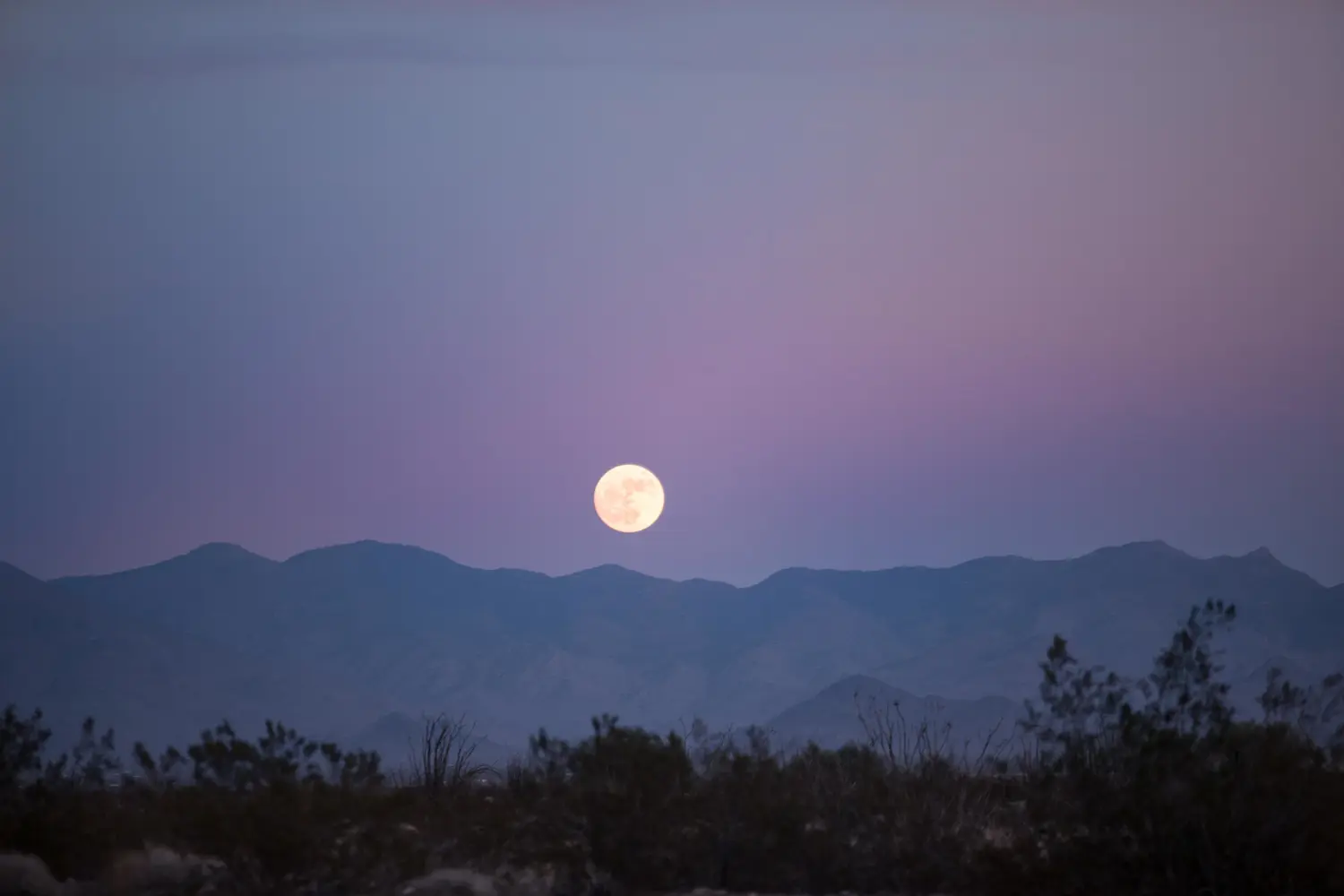 Dónde y cuándo ver la superluna