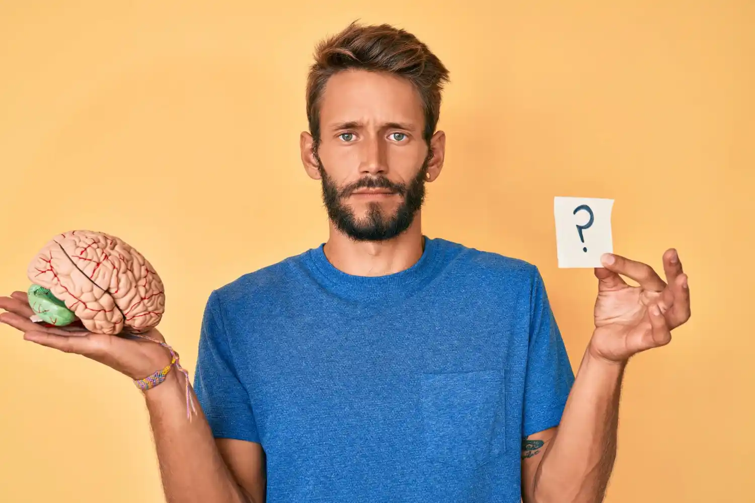 Cómo decide el cerebro qué recuerdos conservar