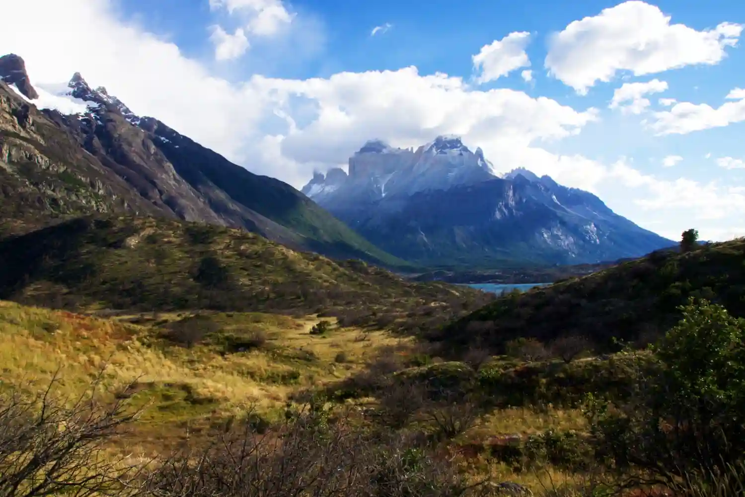 arden 2.100 hectáreas en la Patagonia andina