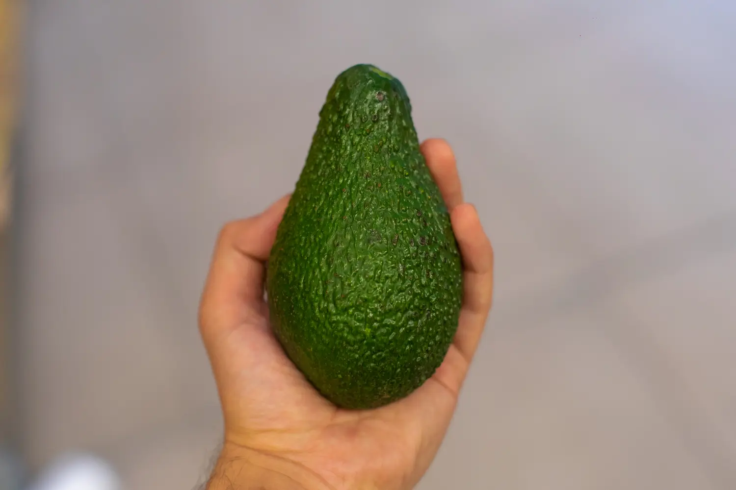 Santander apunta al trono europeo del aguacate