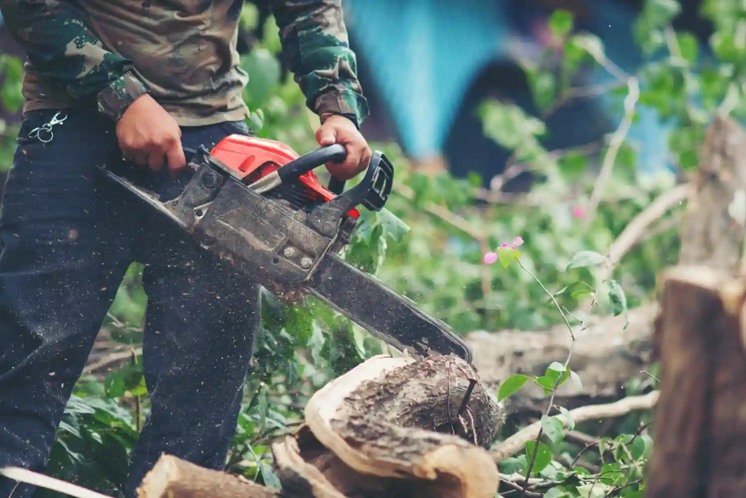 UE aplaza su ley contra la deforestación