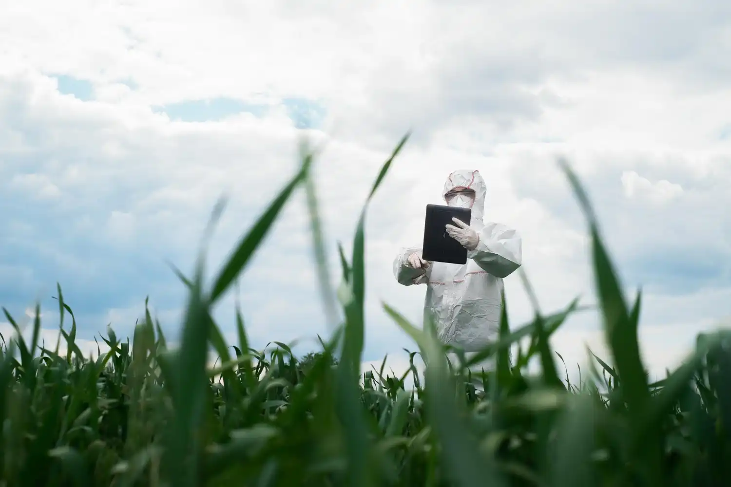 la UE quiere aprobar pesticidas sin límite