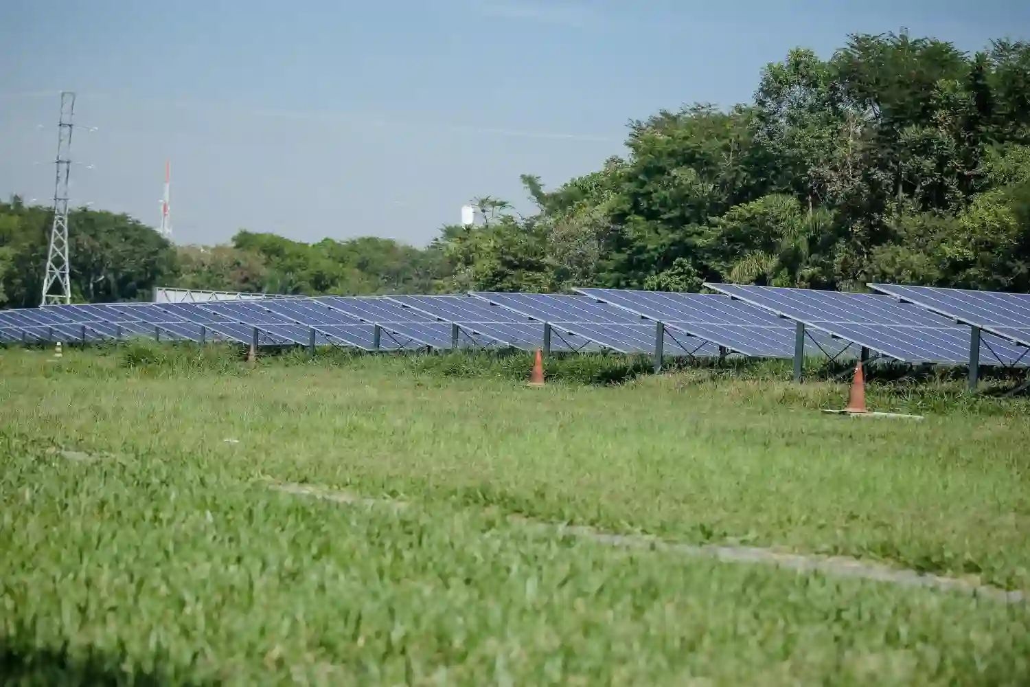 megaparque solar puede reverdecer un desierto