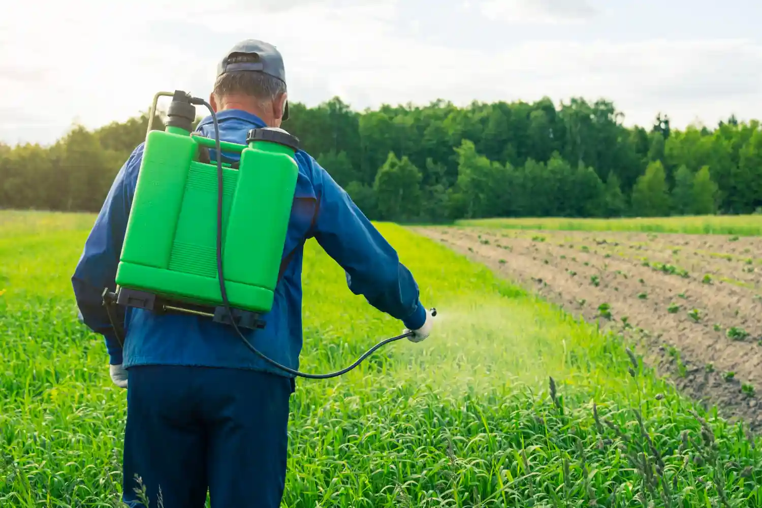 pesticida párkinson agricultores de EE UU