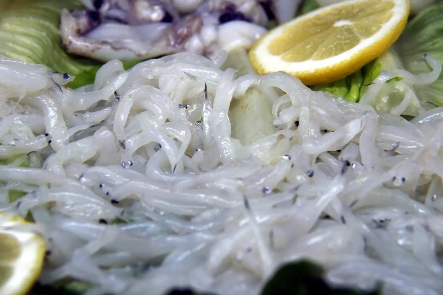plato de lujo empuja a la anguila al abismo