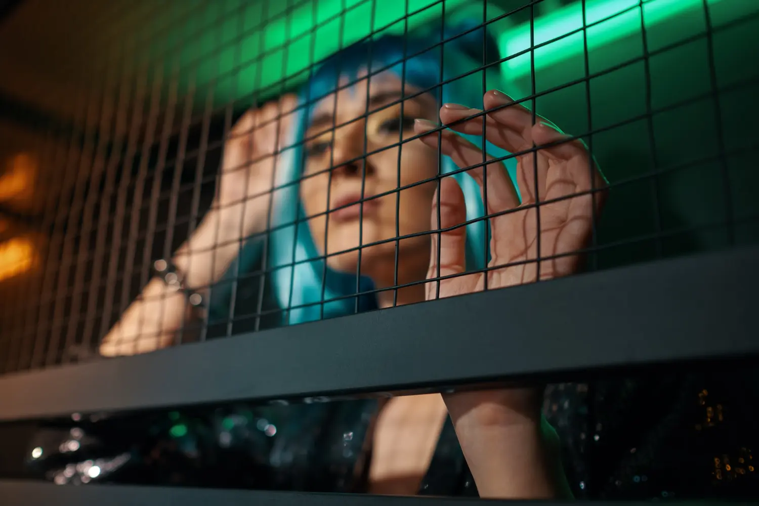 por qué lo echaron del concierto de Lady Gaga