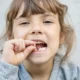 se pueden caer los dientes a los 5 años