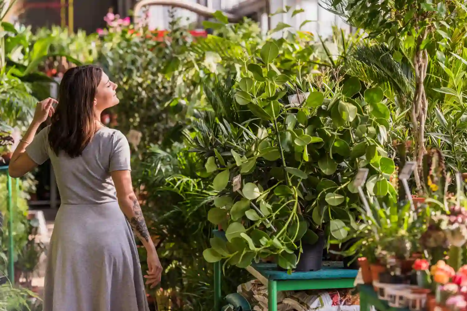 80 plantas nuevas en dos años