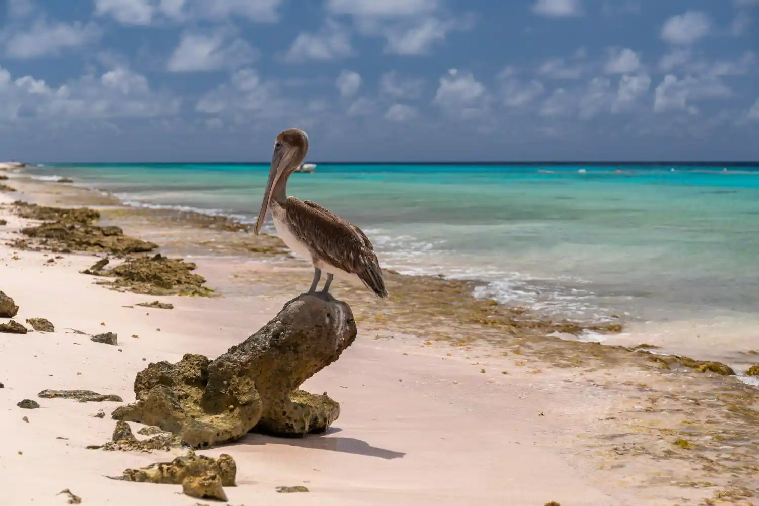 Chagos vuelve a Mauricio