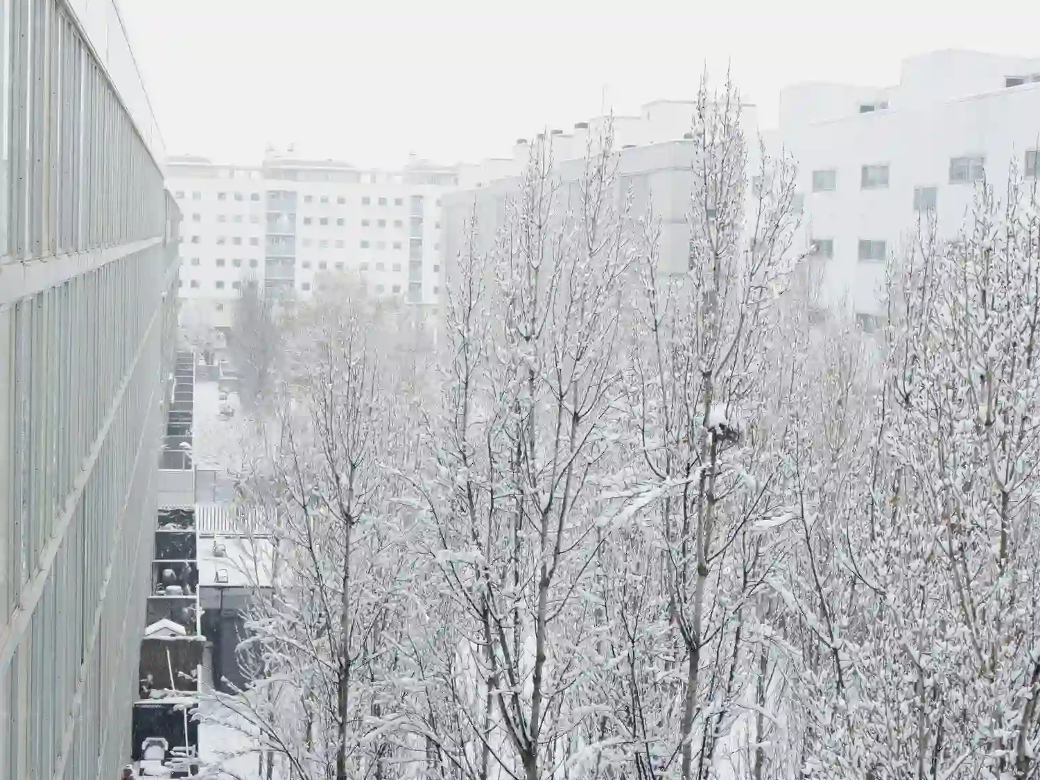 Madrid nieve y viento
