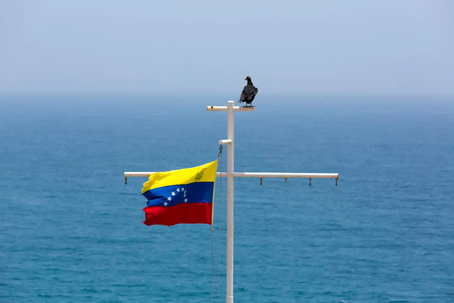 Repsol BBVA Telefónica siguen en Venezuela