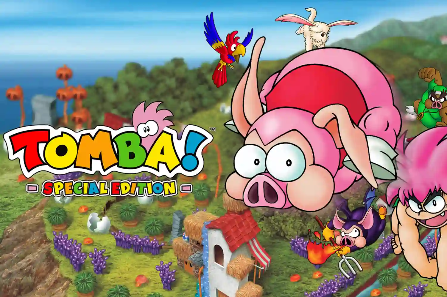 Tomba vuelve para Switch 2
