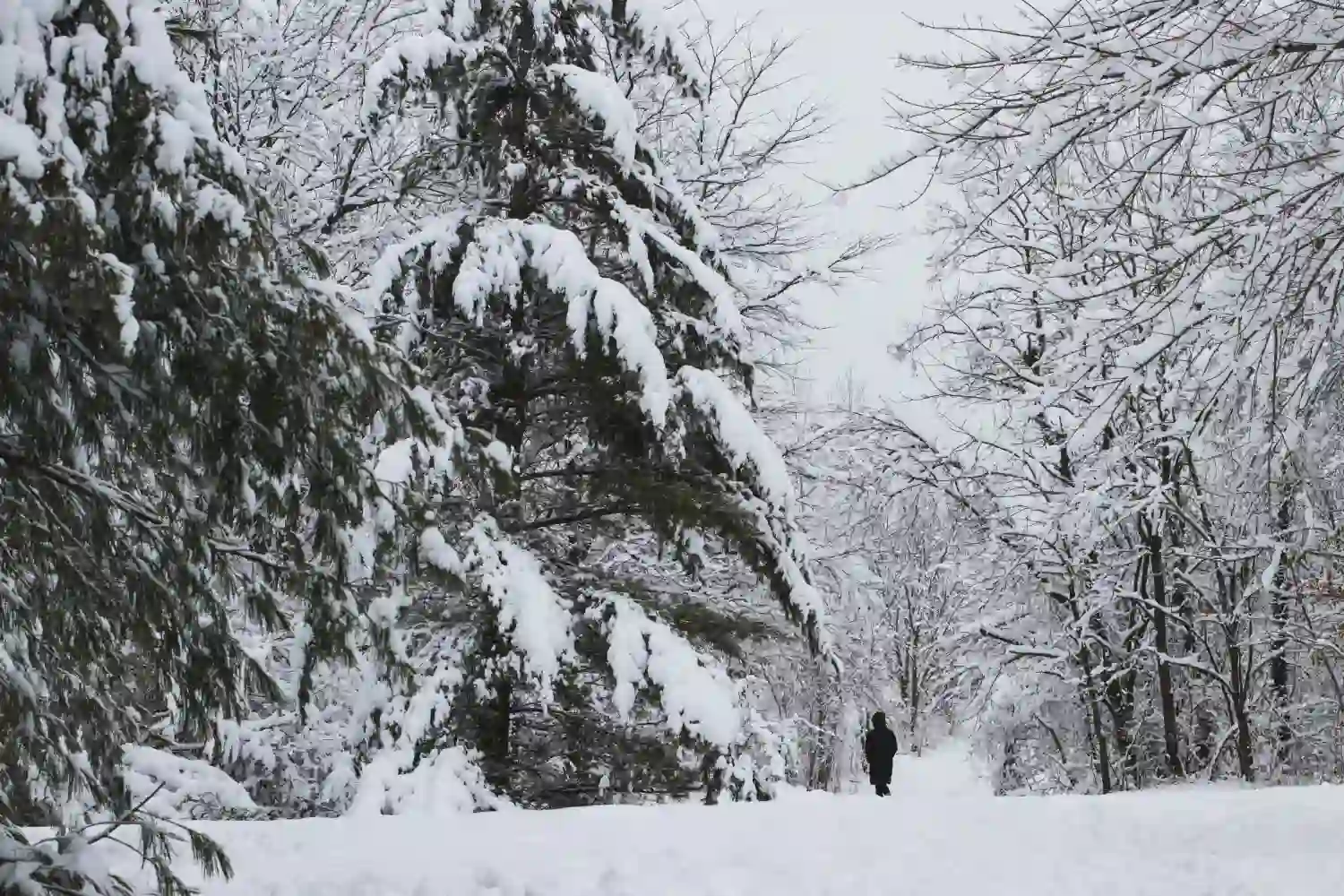 aemet-nevadas-15 de enero